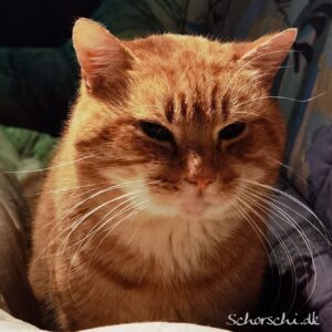 Mehr über den Artikel erfahren In liebevoller Erinnerung an unseren Berti